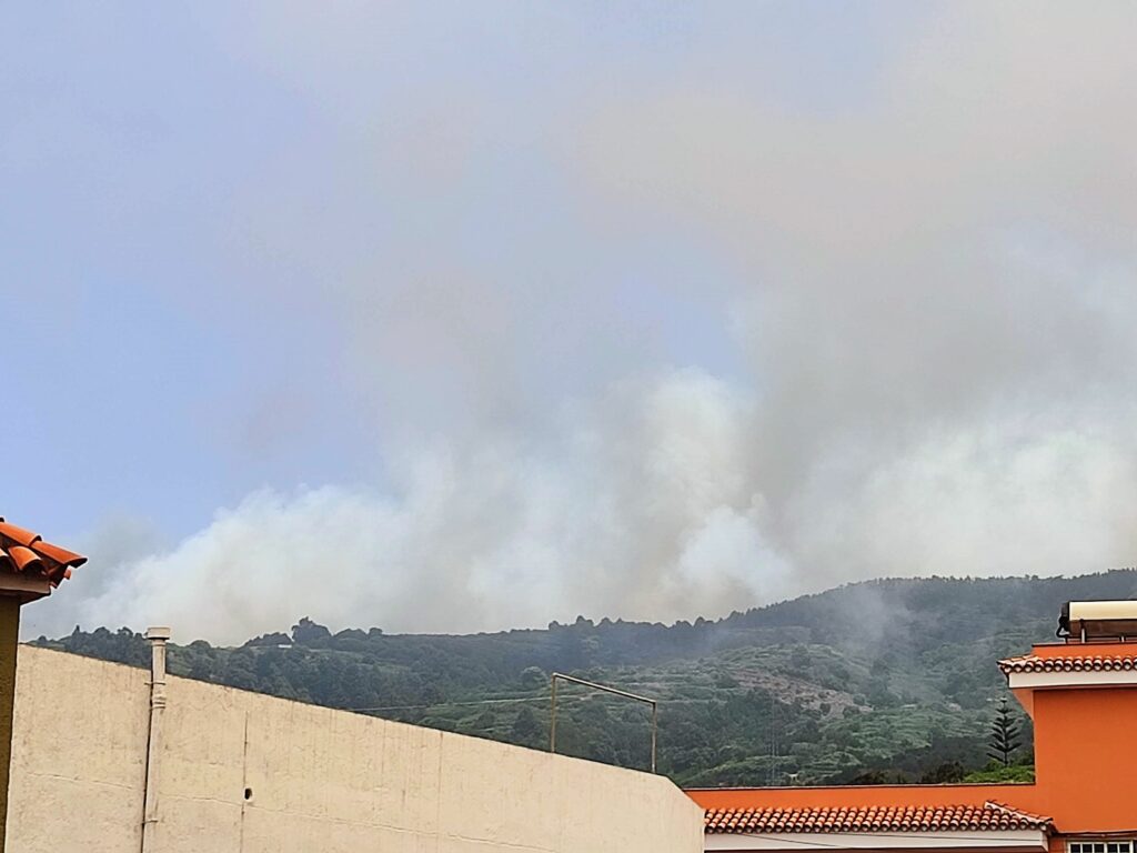 Der Waldbrand auf Teneriffa von La Guancha aus gesehen. 