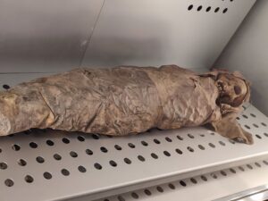 Die Guanchen auf Teneriffa wussten, wie man mumifiziert